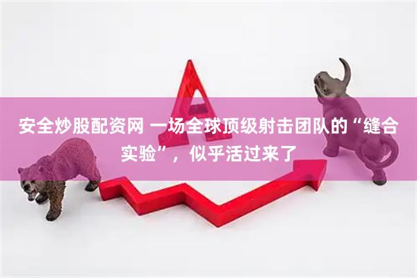 安全炒股配资网 一场全球顶级射击团队的“缝合实验”，似乎活过来了