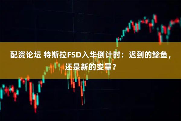 配资论坛 特斯拉FSD入华倒计时：迟到的鲶鱼，还是新的变量？